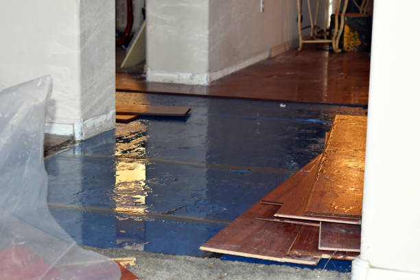 Professional Burst Pipe Cleanup technician working in Benwood, WV