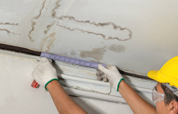 Reliable Burst Pipe Cleanup contractor in Benwood, WV by Water Damage Irwin